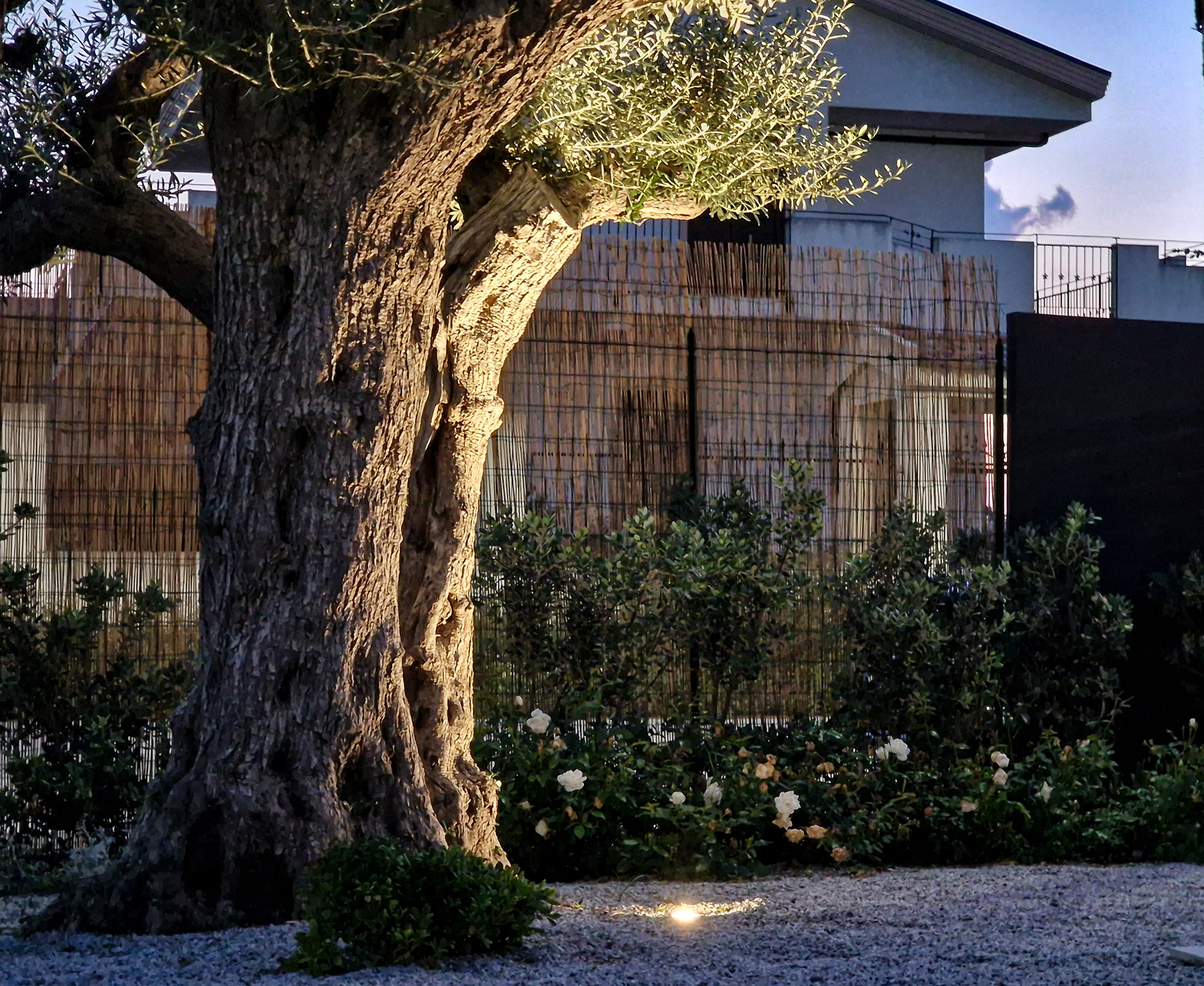 Ortosalato argicamping, Monforte (ME)