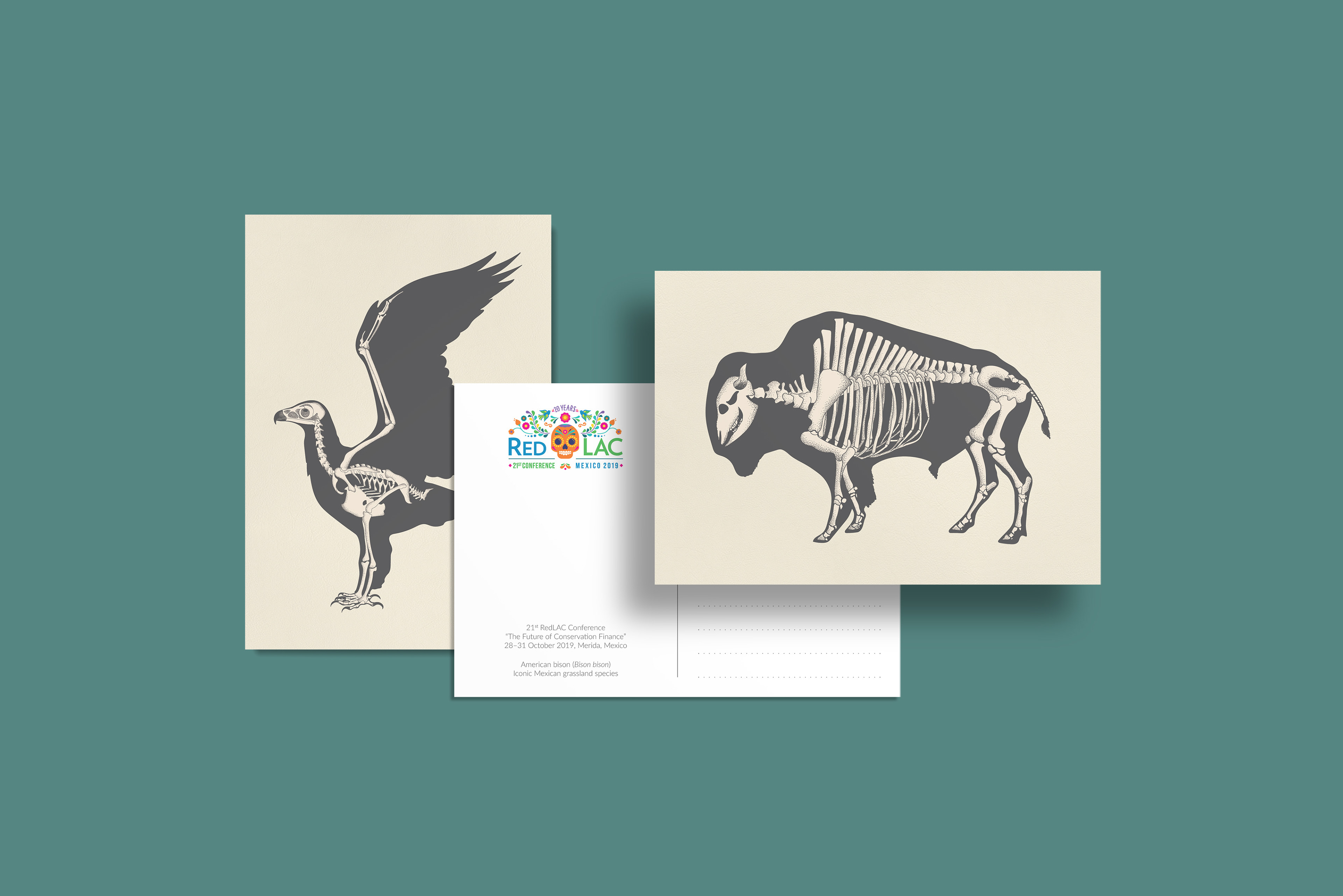 Endangered species postcards featuring American bison and golden eagle, designed with Day of the Dead-inspired branding for RedLAC's 21st Conference