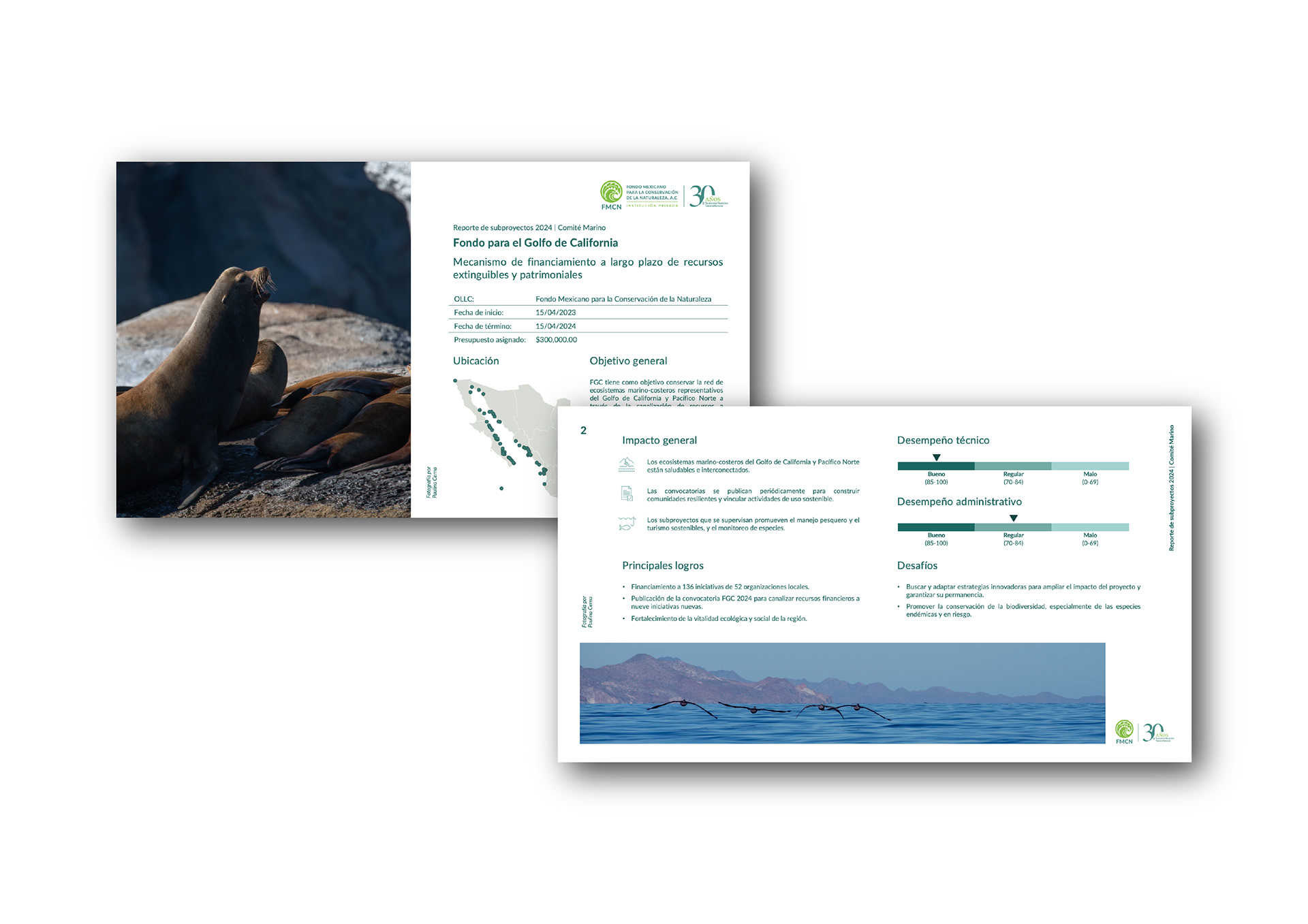 Project report template for donors