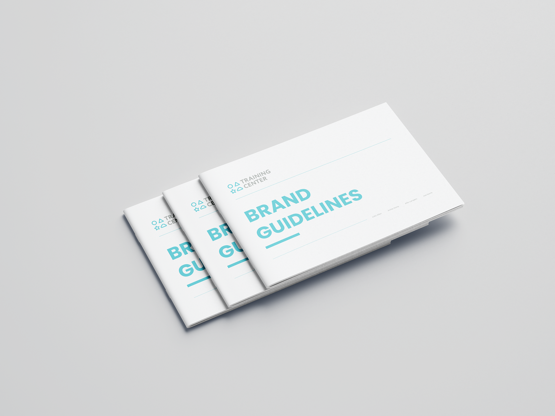 Brand Guideline Booklet