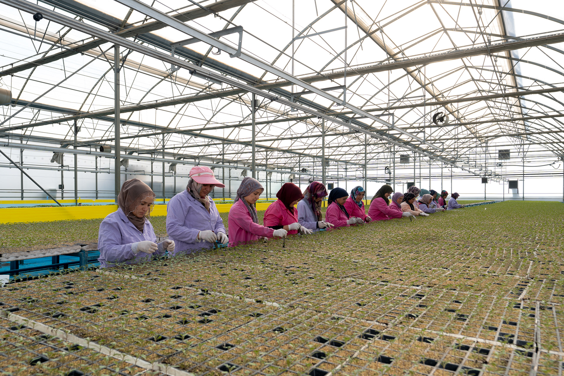 Tarım Firması Fotoğraf Çekimi @ANTALYA
