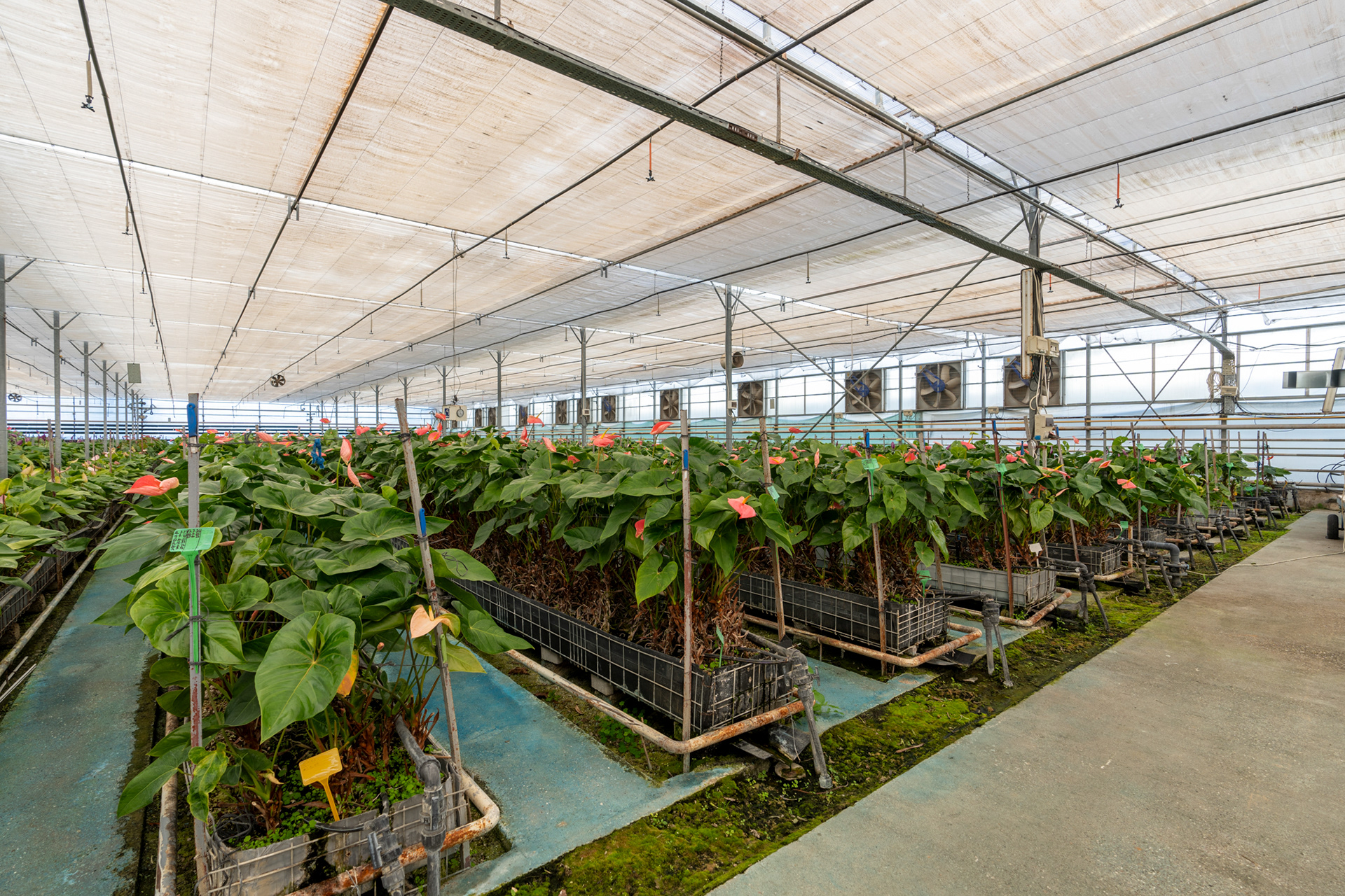 Tarım Firması Fotoğraf Çekimi @ANTALYA