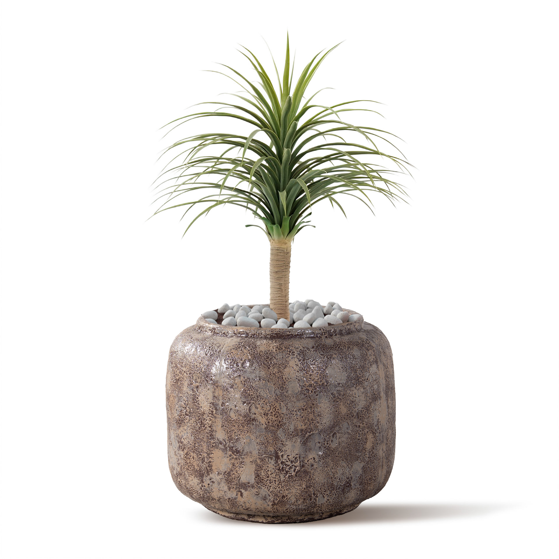 Büyük Boy Saksı Fotoğraf Çekimi @TACARTSTONE