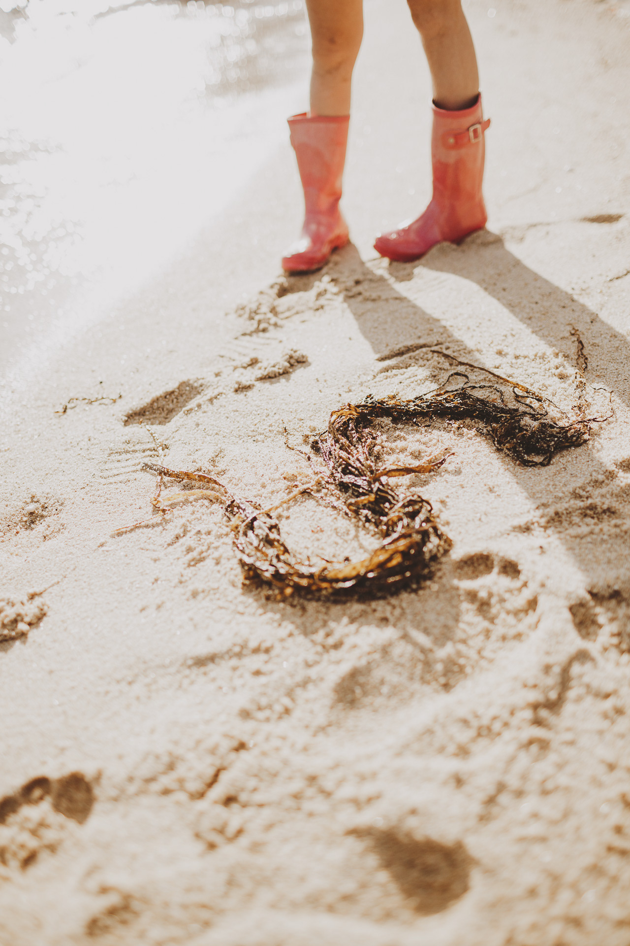 Visit Isles of Scilly Guide 2019 - www.visitislesofscilly.com