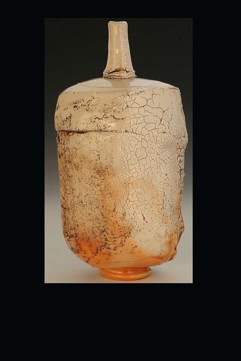Bottle Abstraction, Anagama Fired