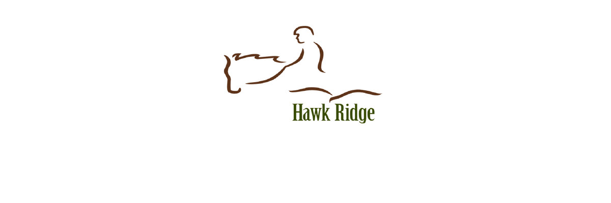 Hawk Ridge Therapeutic Riding Center logo