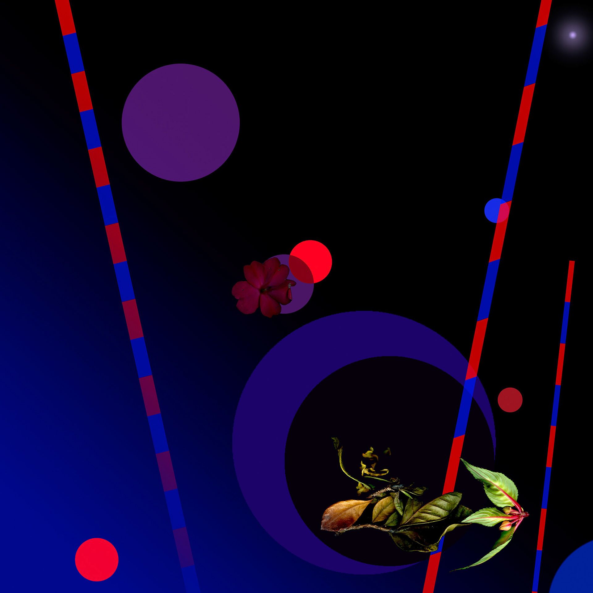 Night Conversation 17