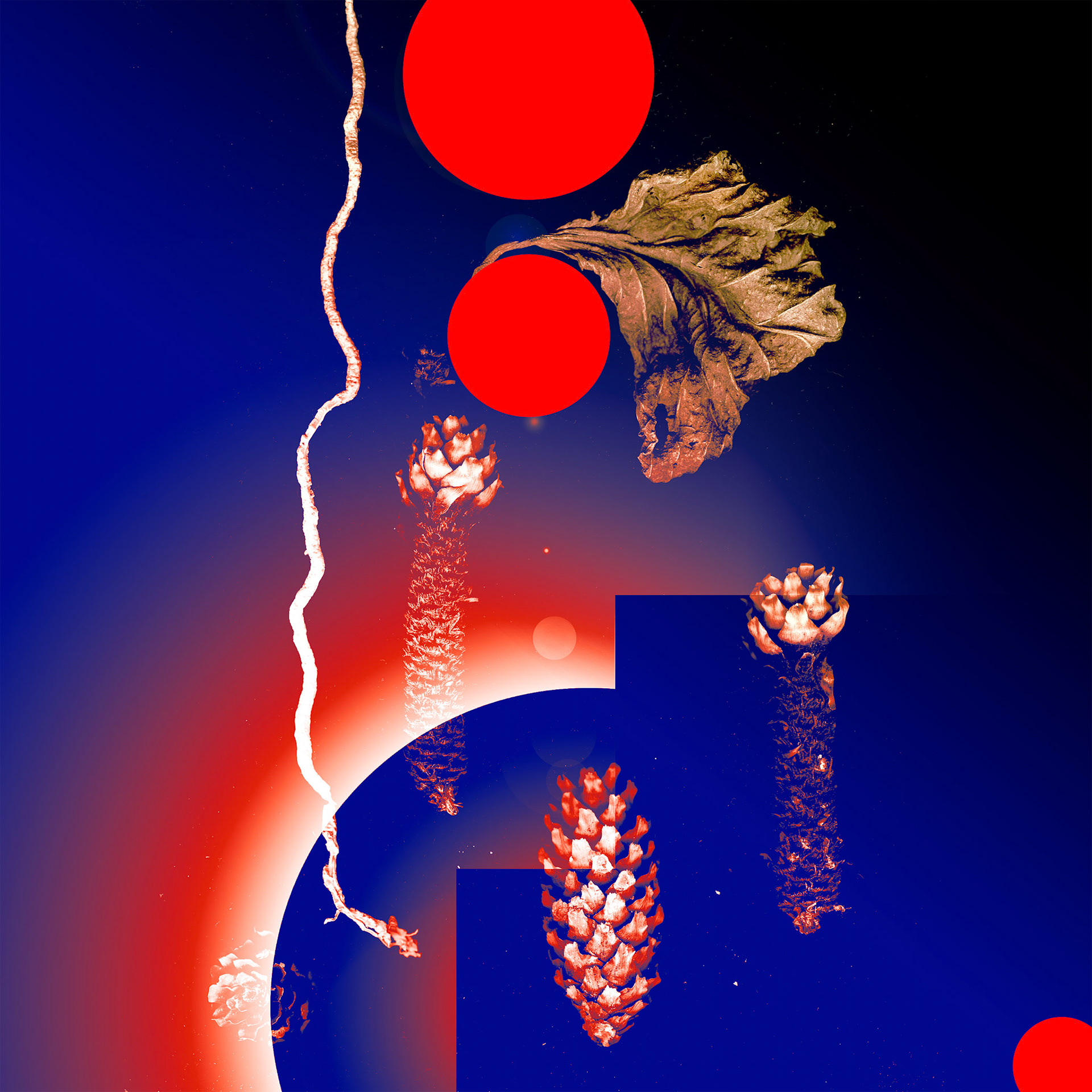 Night Conversation 2