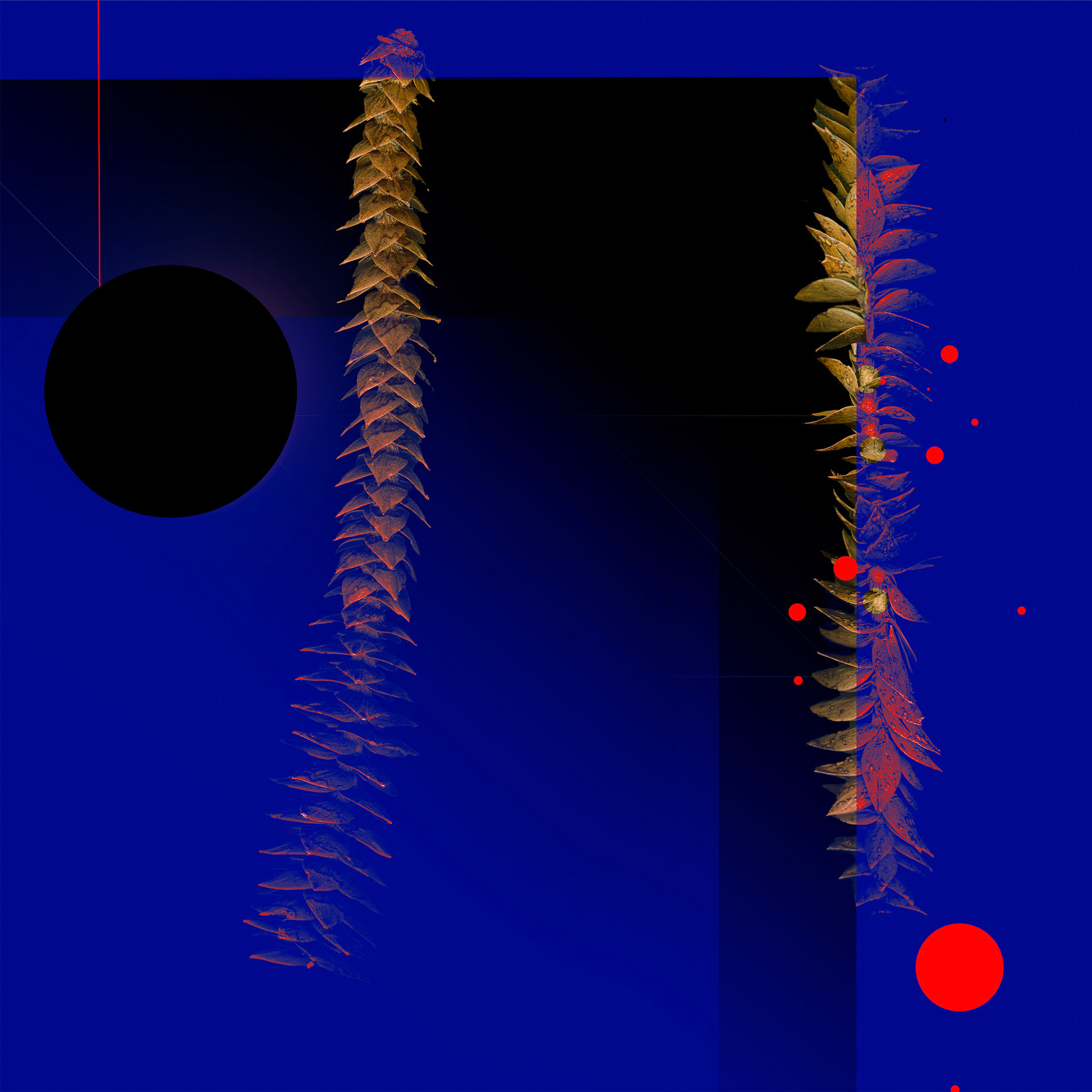 Night Conversation 7