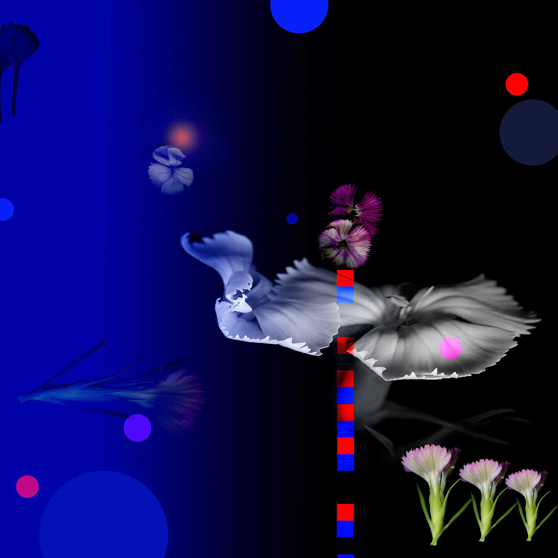 Night Conversation 13