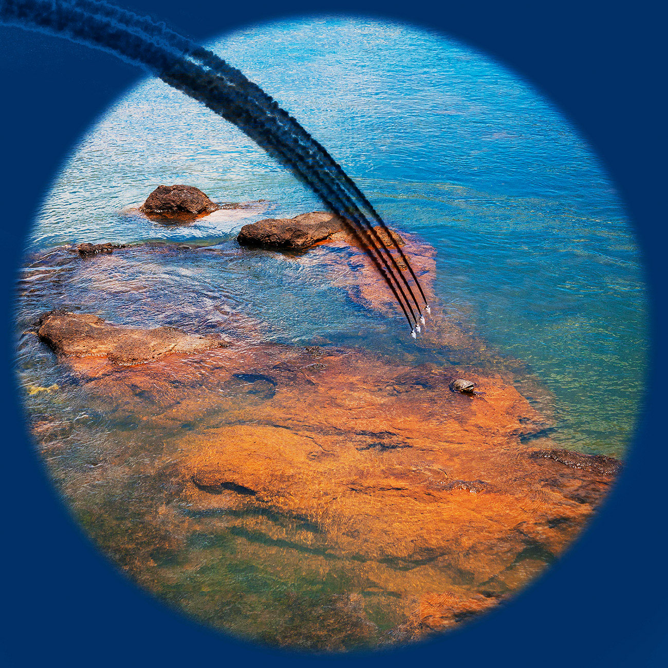 Military vs Environment    