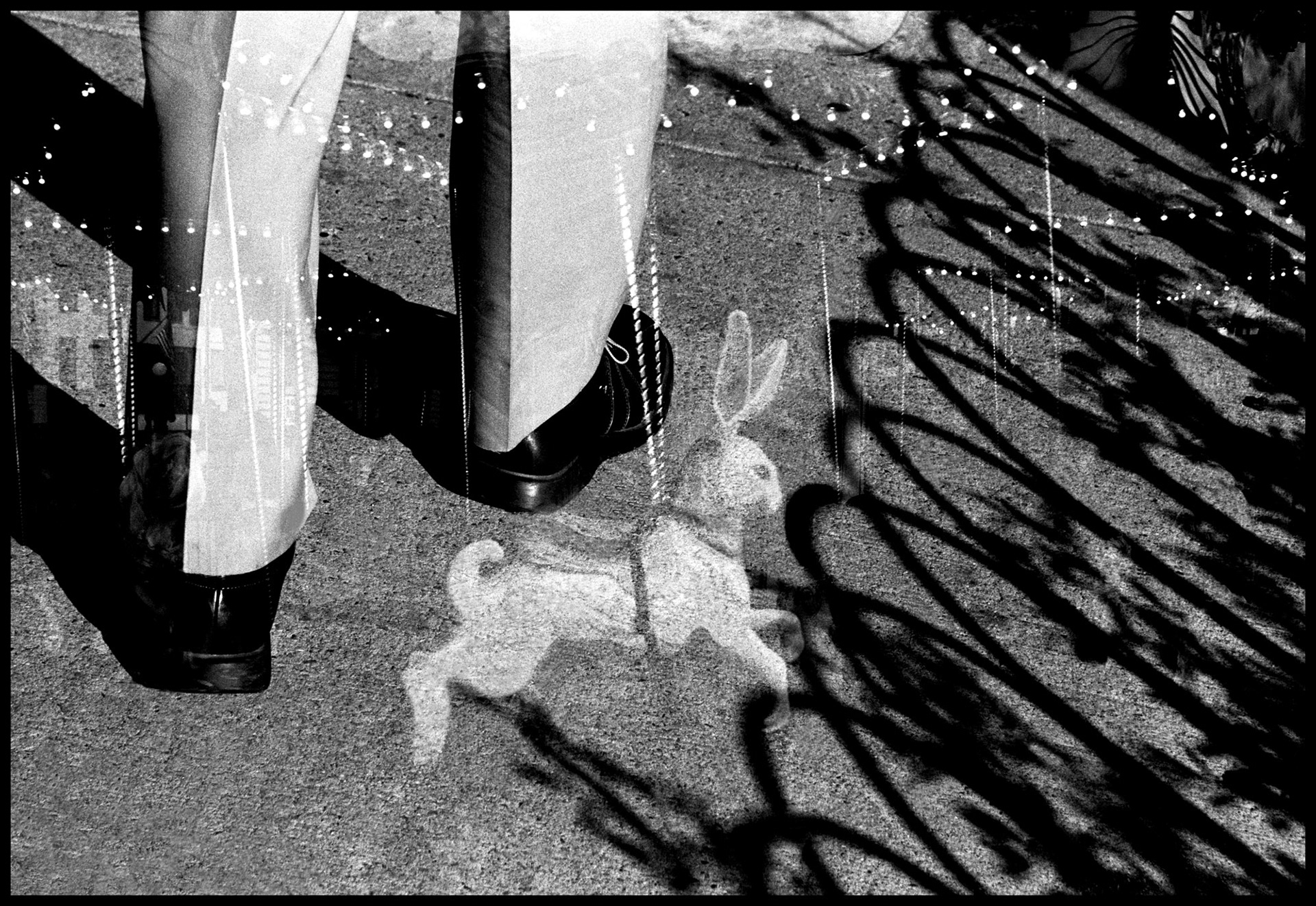 Bunny Hop