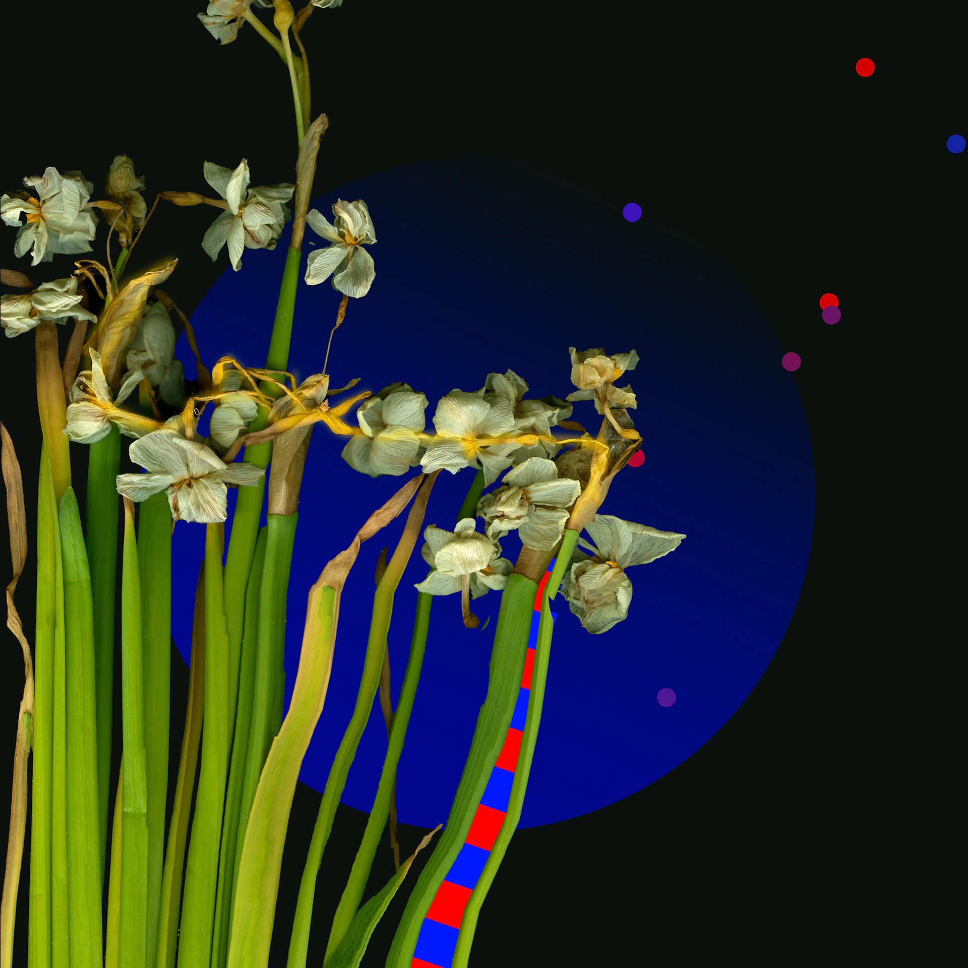 Night Conversation 16