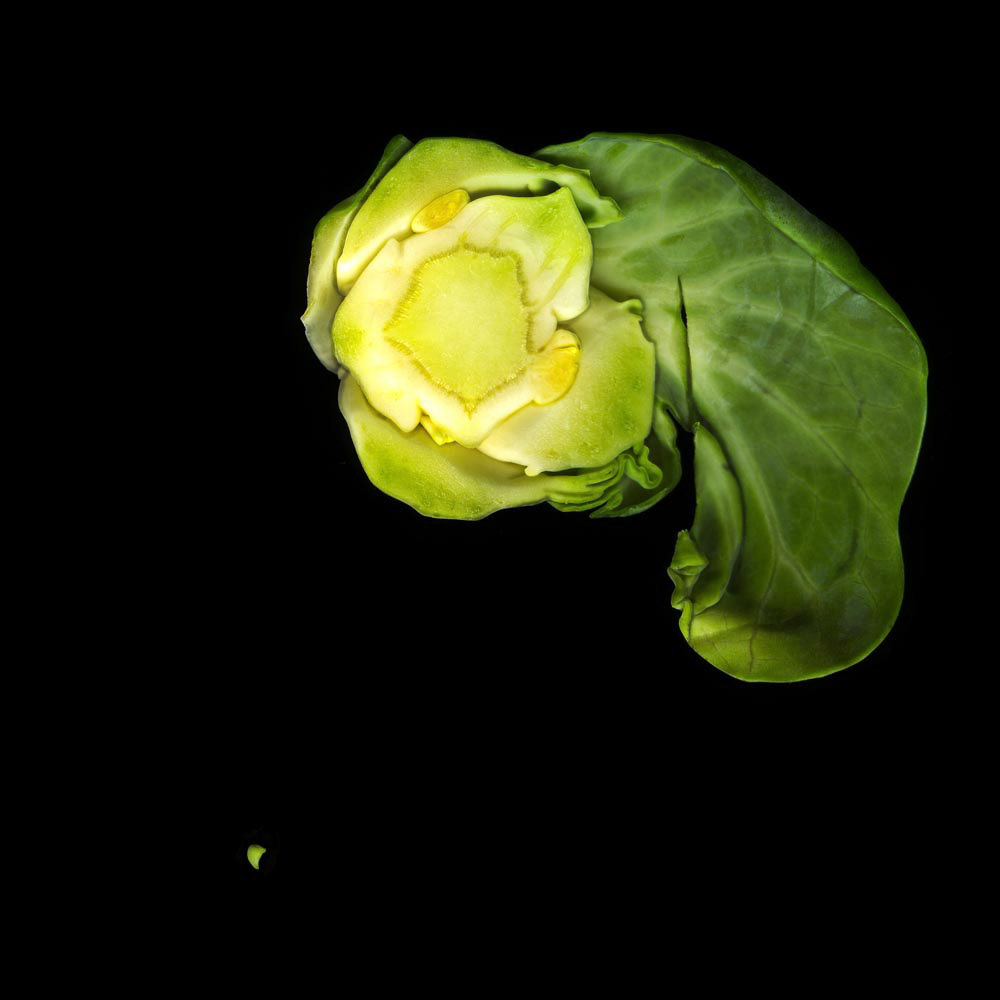 Brussel Sprout
