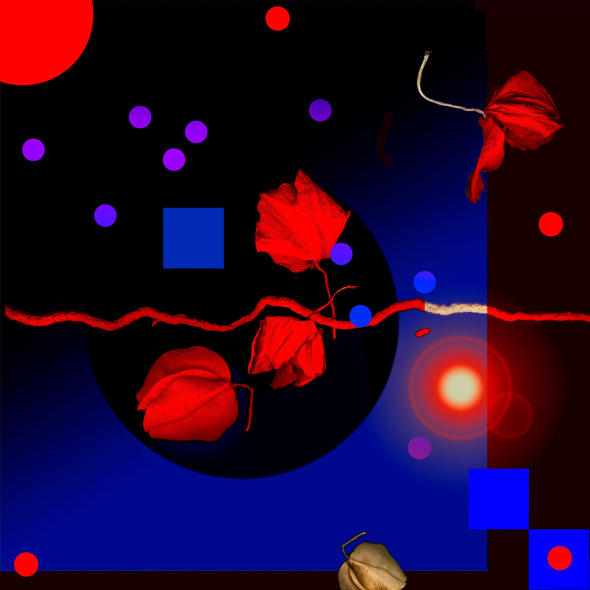 Night Conversation 5