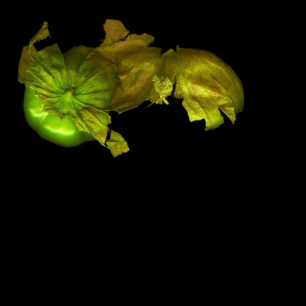 Tomatillos 1