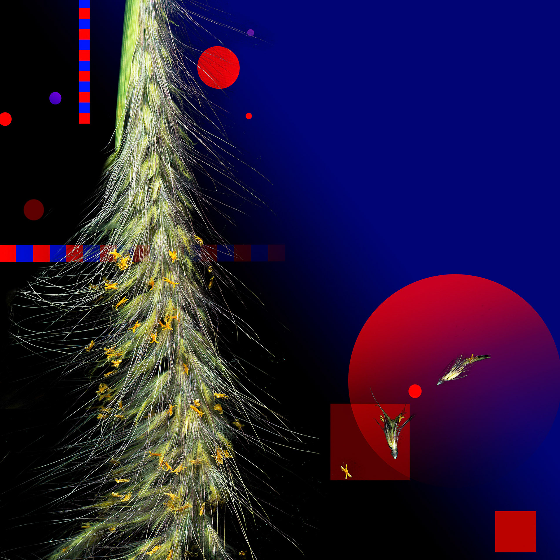 Night Conversation 18