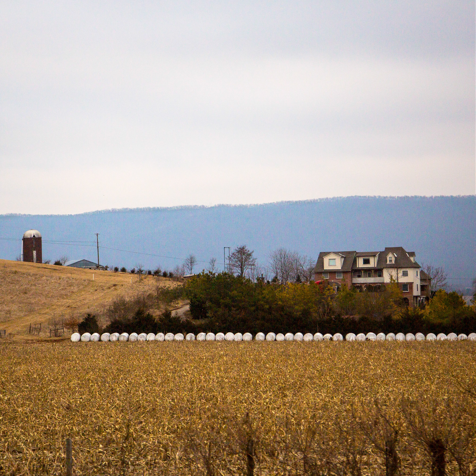 Hay Bale Harmony