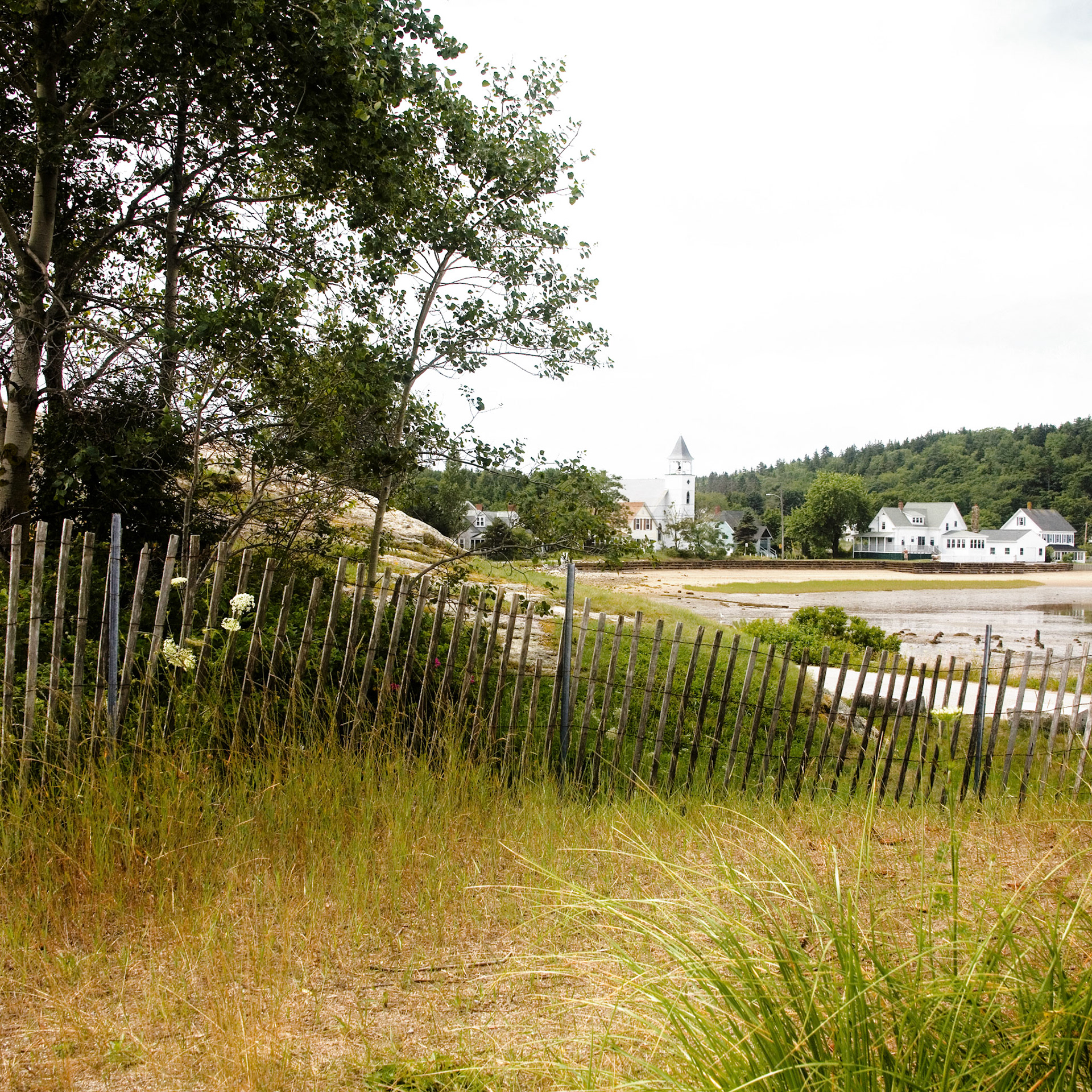 Church Fence Pond