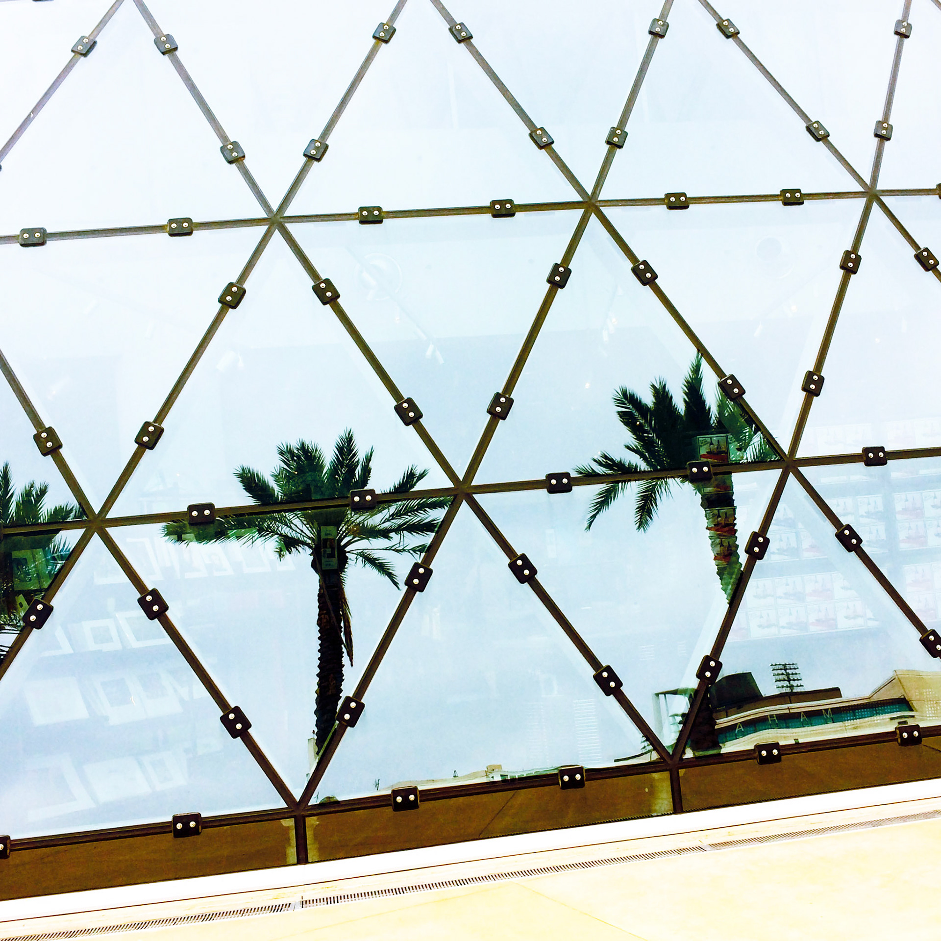 Dali Palm Trees