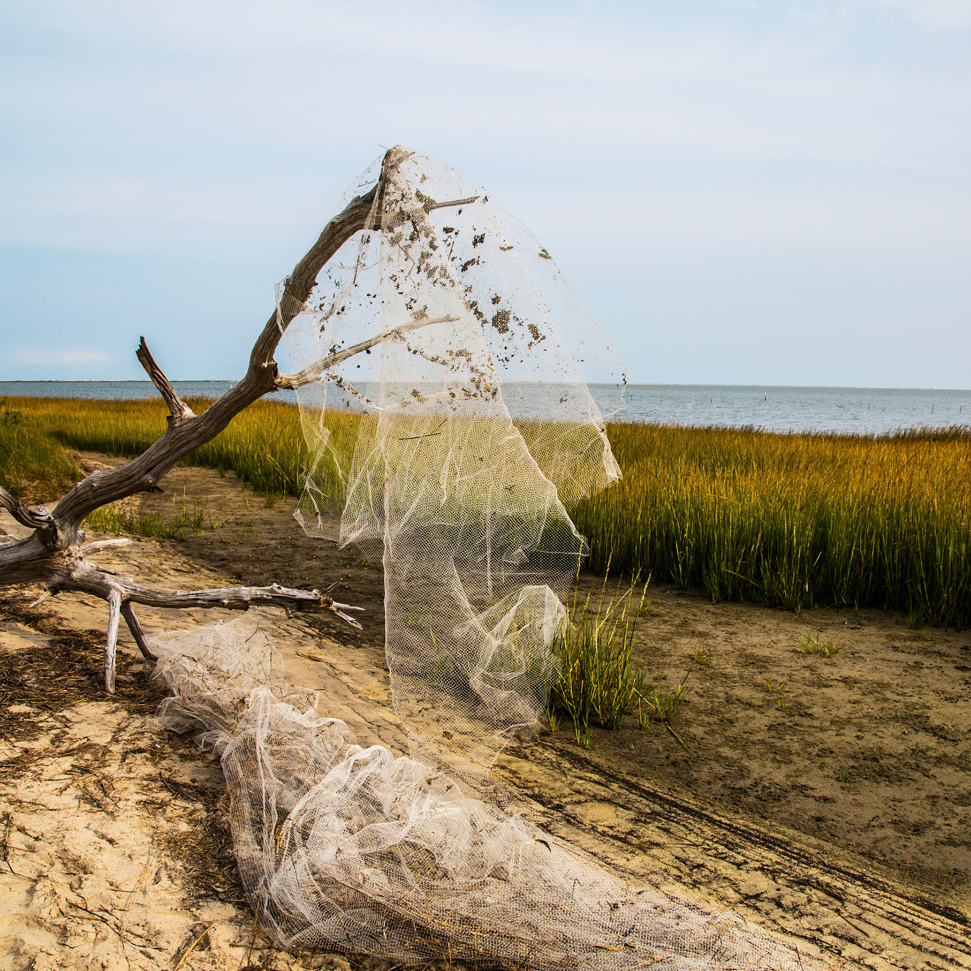 Fishnet Marsh