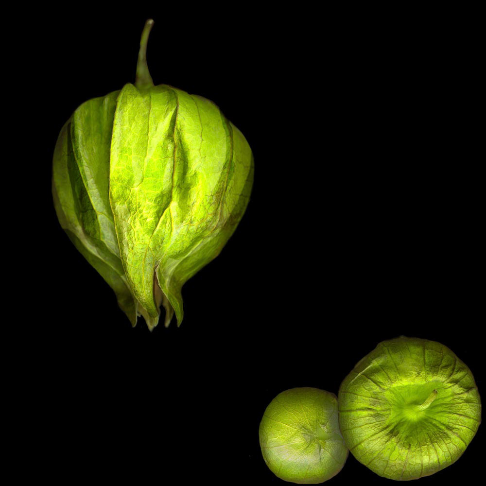 Tomatillos 3