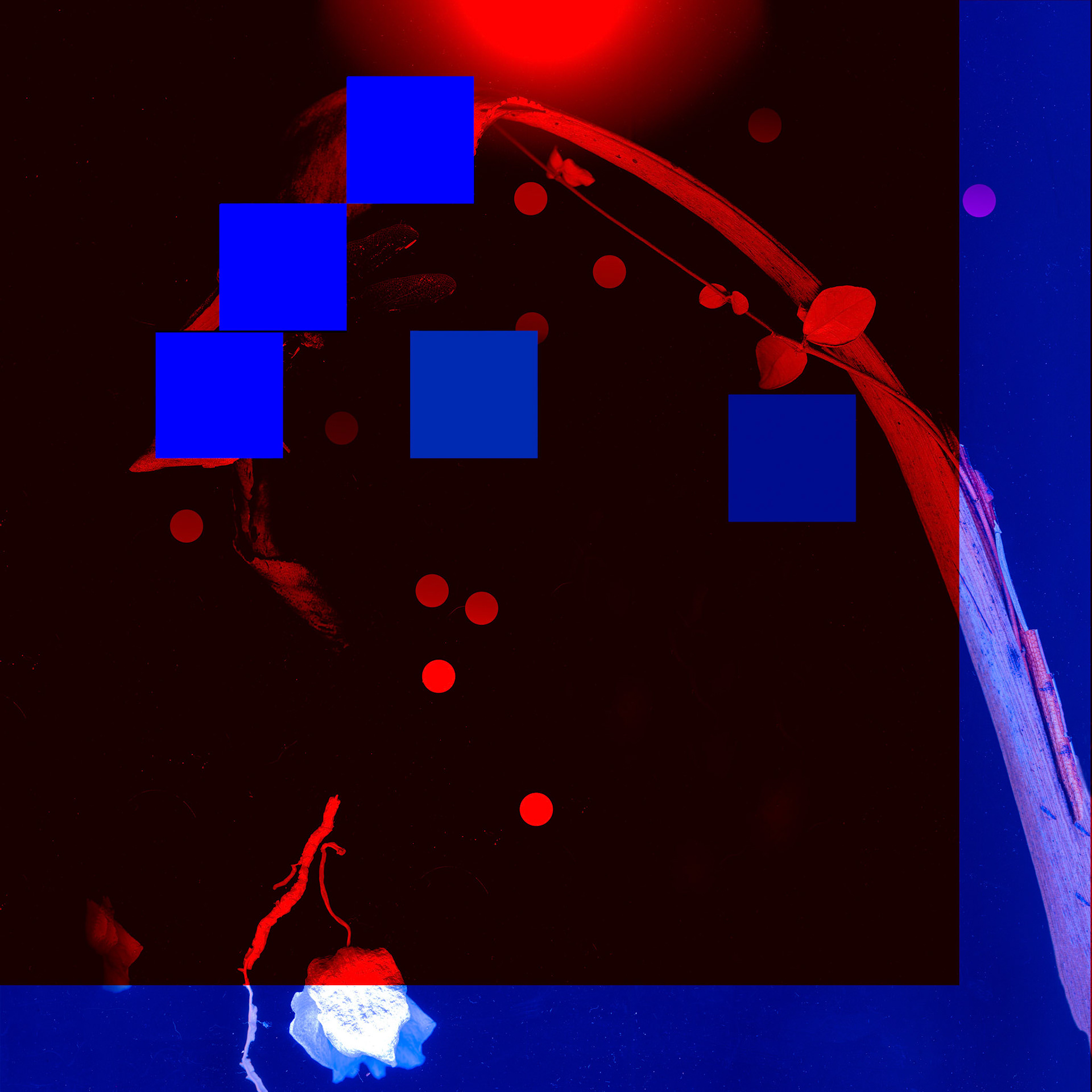 Night Conversation 1