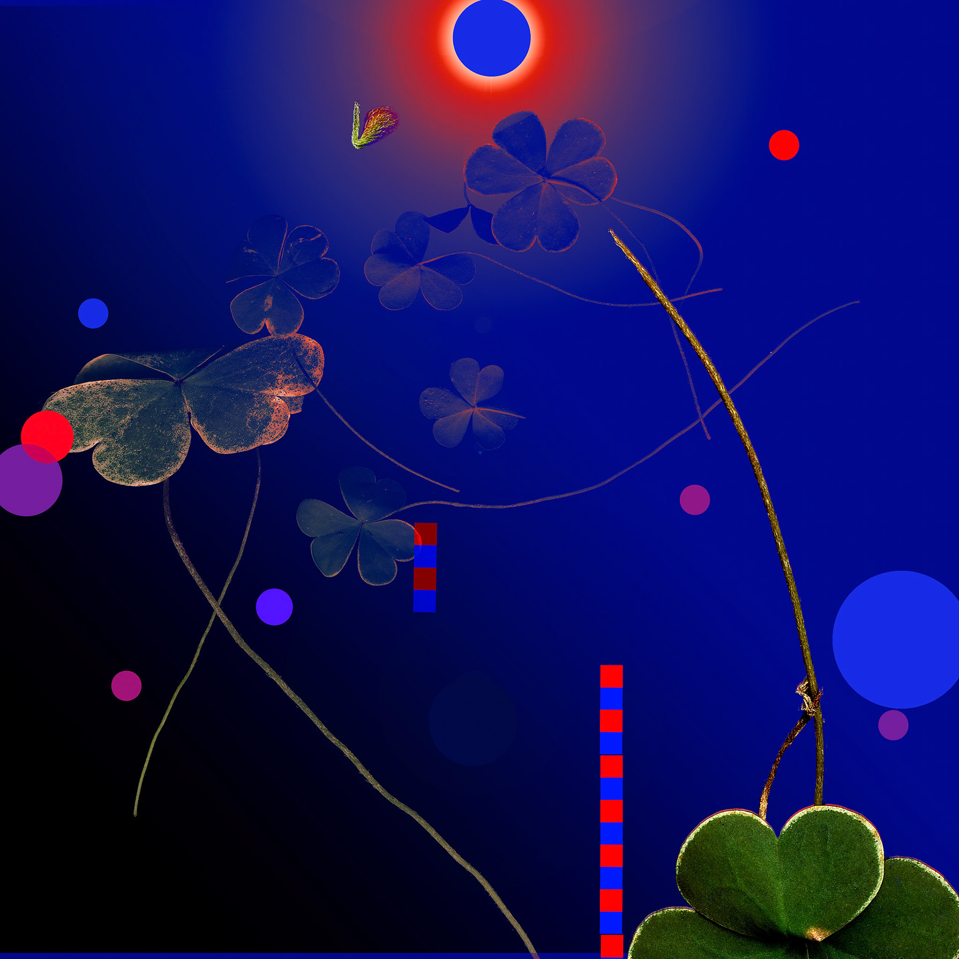 Night Conversation 11