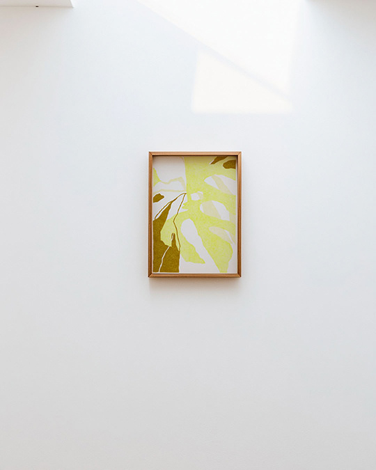 Canopy_02 2024, 2024 Colored pencil on archival paper 24.5cm x 35.5cm