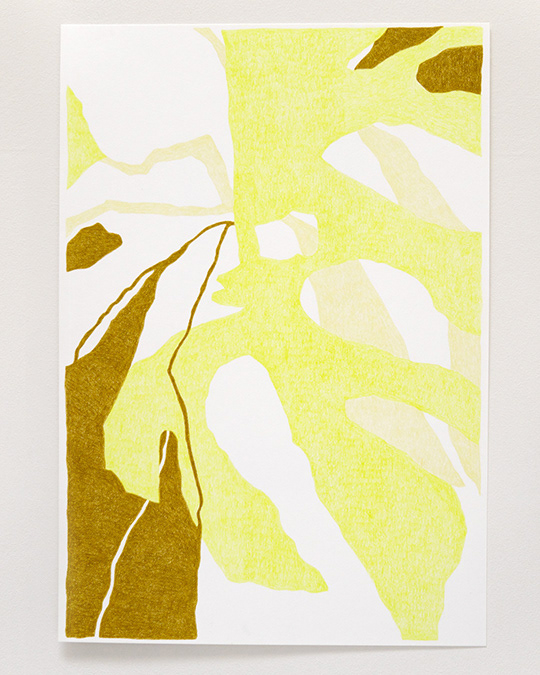 Canopy_02 2024, 2024 Colored pencil on archival paper 24.5cm x 35.5cm