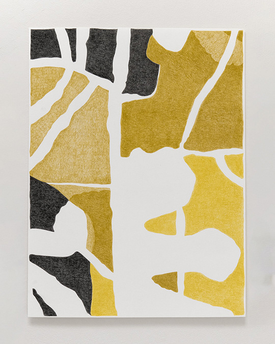 Canopy_03 2024, 2024 Colored pencil on archival paper 26.5cm x 35.5cm