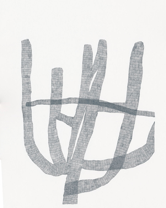 Lonely cholla_01, 2024 Colored pencil on archival paper 29.7cm x 42cm