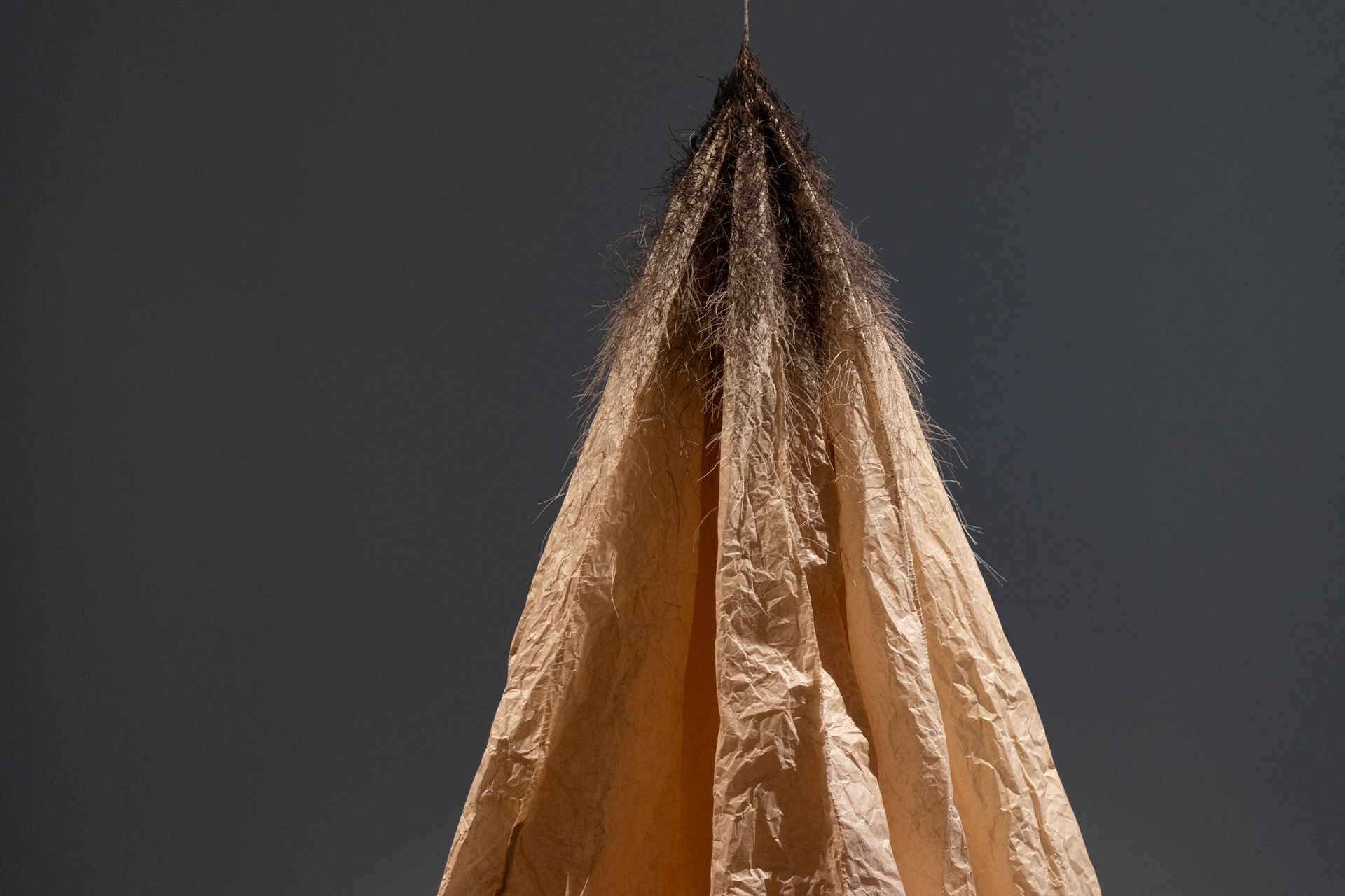 Untitled (from „Form beloved by life” - series) baking paper, threads approx.: 160x70x70cm, 2024