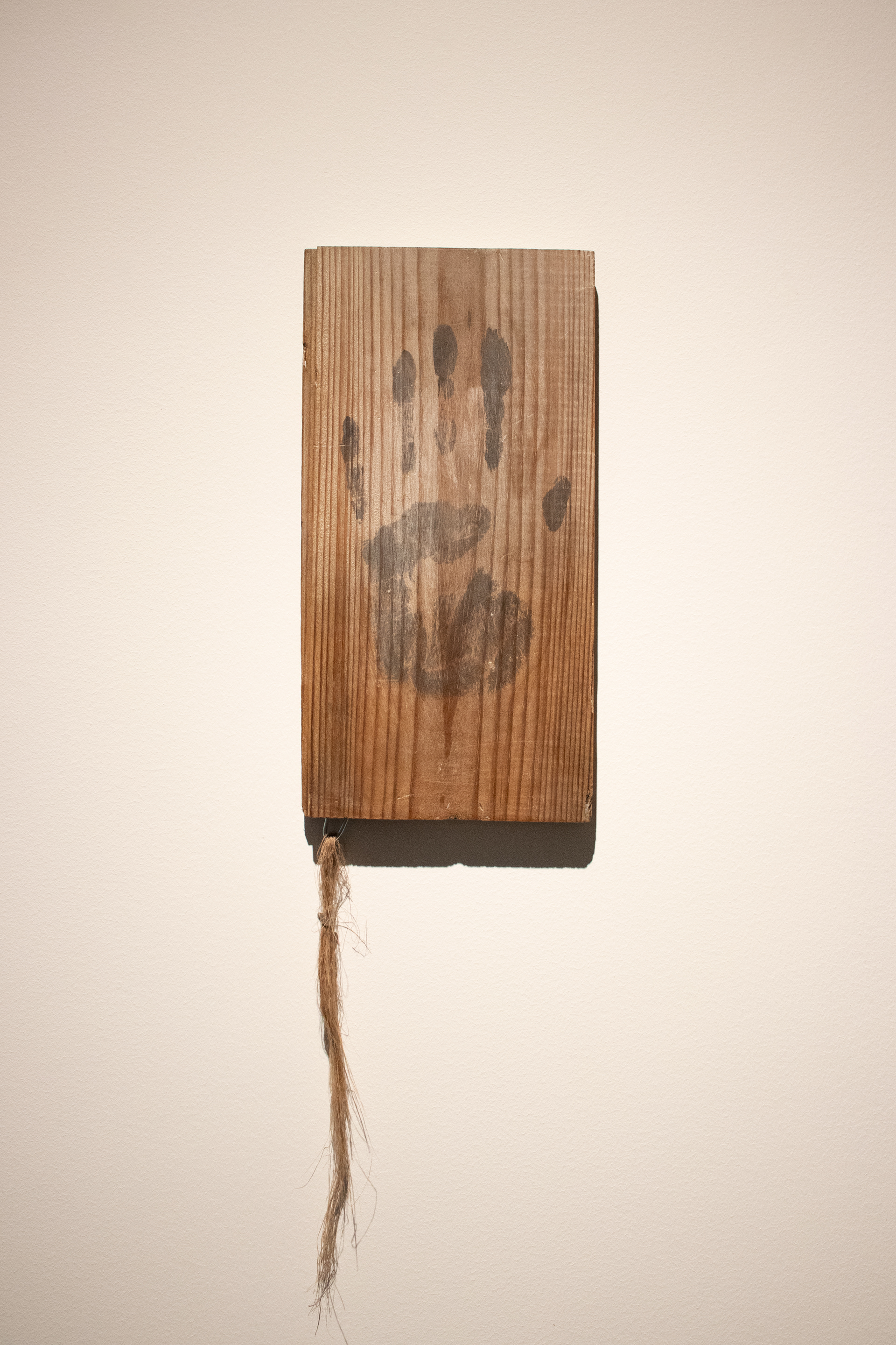 Enough? - pinewood, watercolor, flax, metal 50x13,5x2cm, 2024