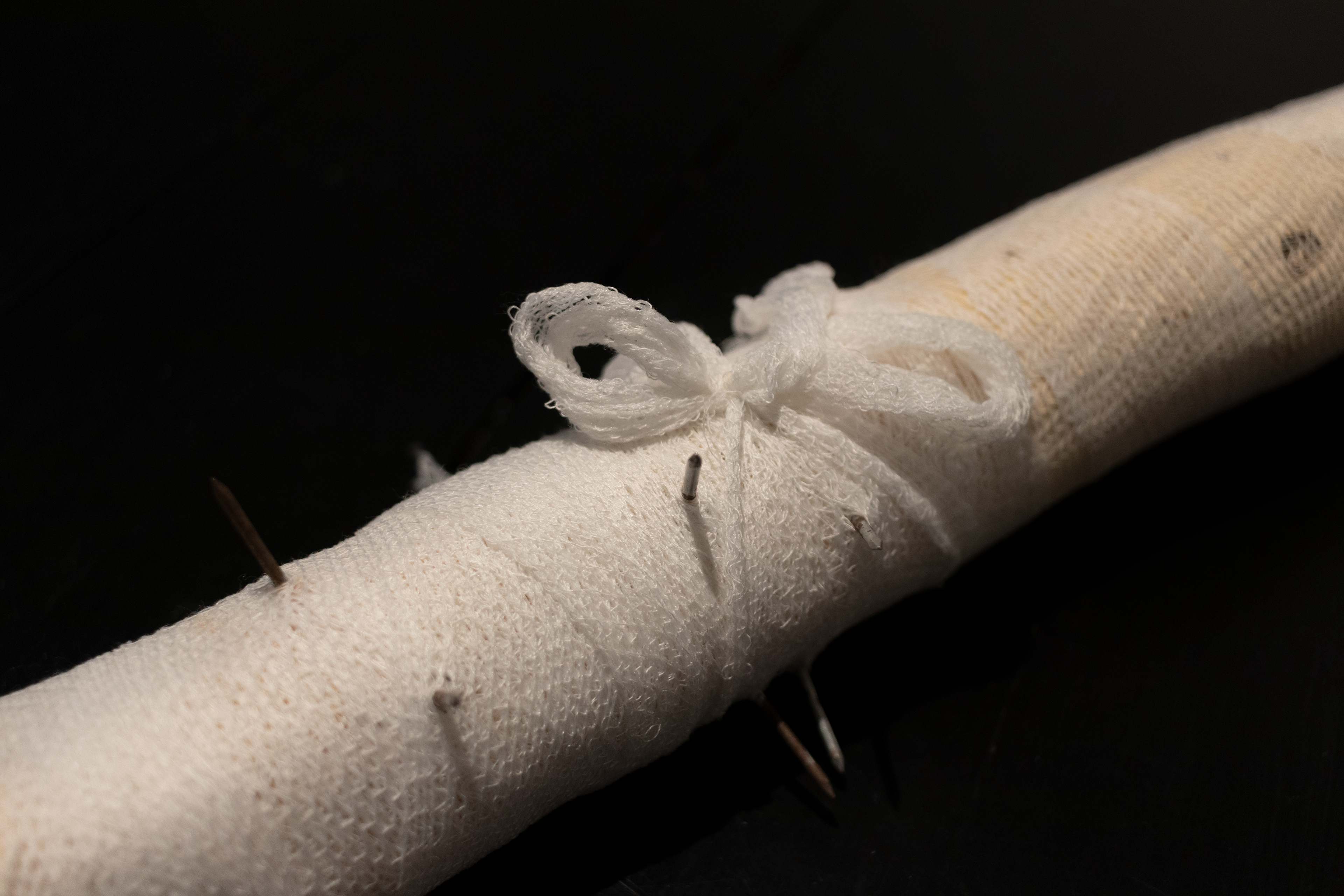 Rose - wood, nails, bandage 48x10x8cm, 2024