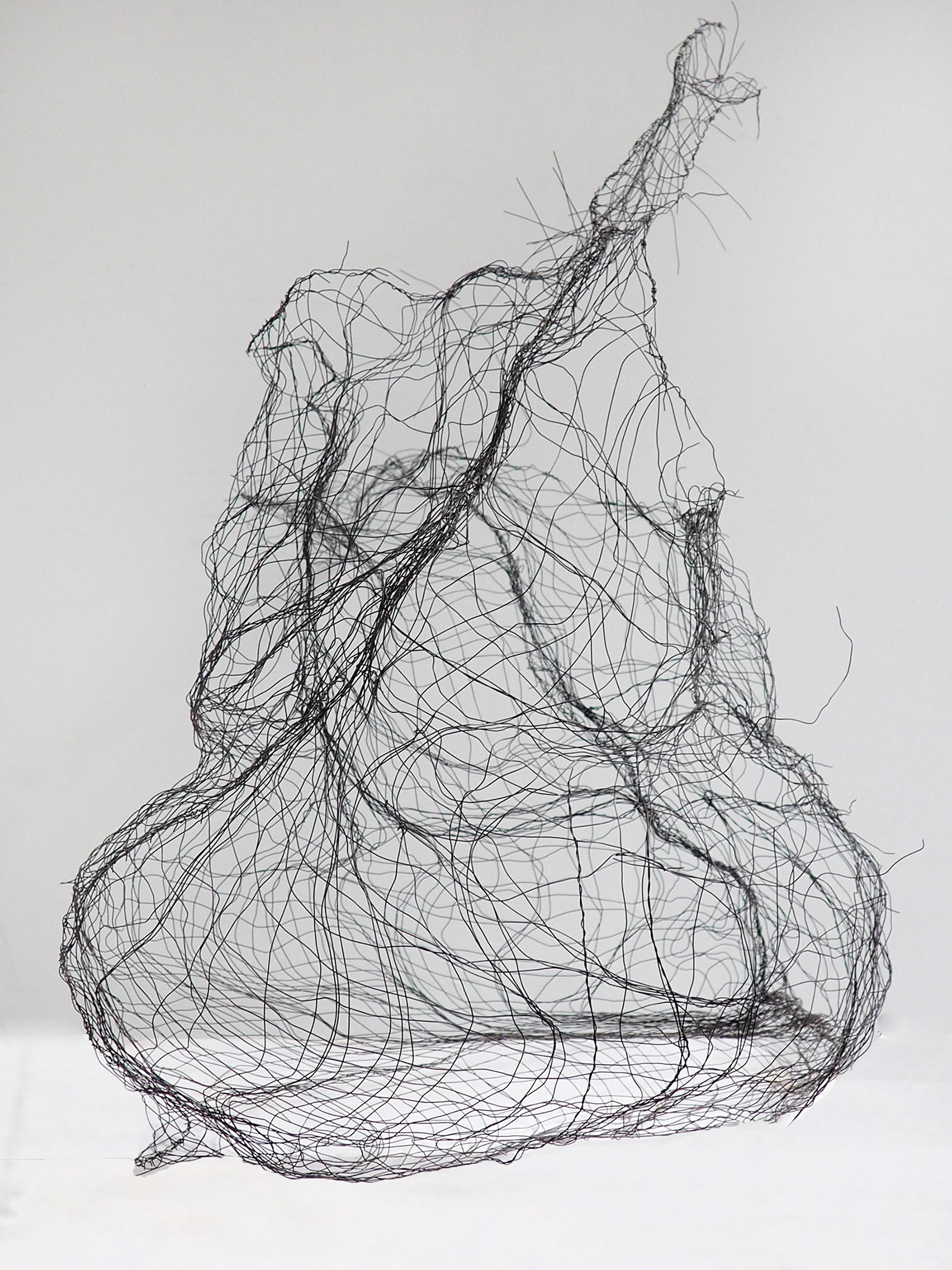 IV - from ecce homo series, black wire, rabitz mesh; 100 x 85 x 88 cm; 2021