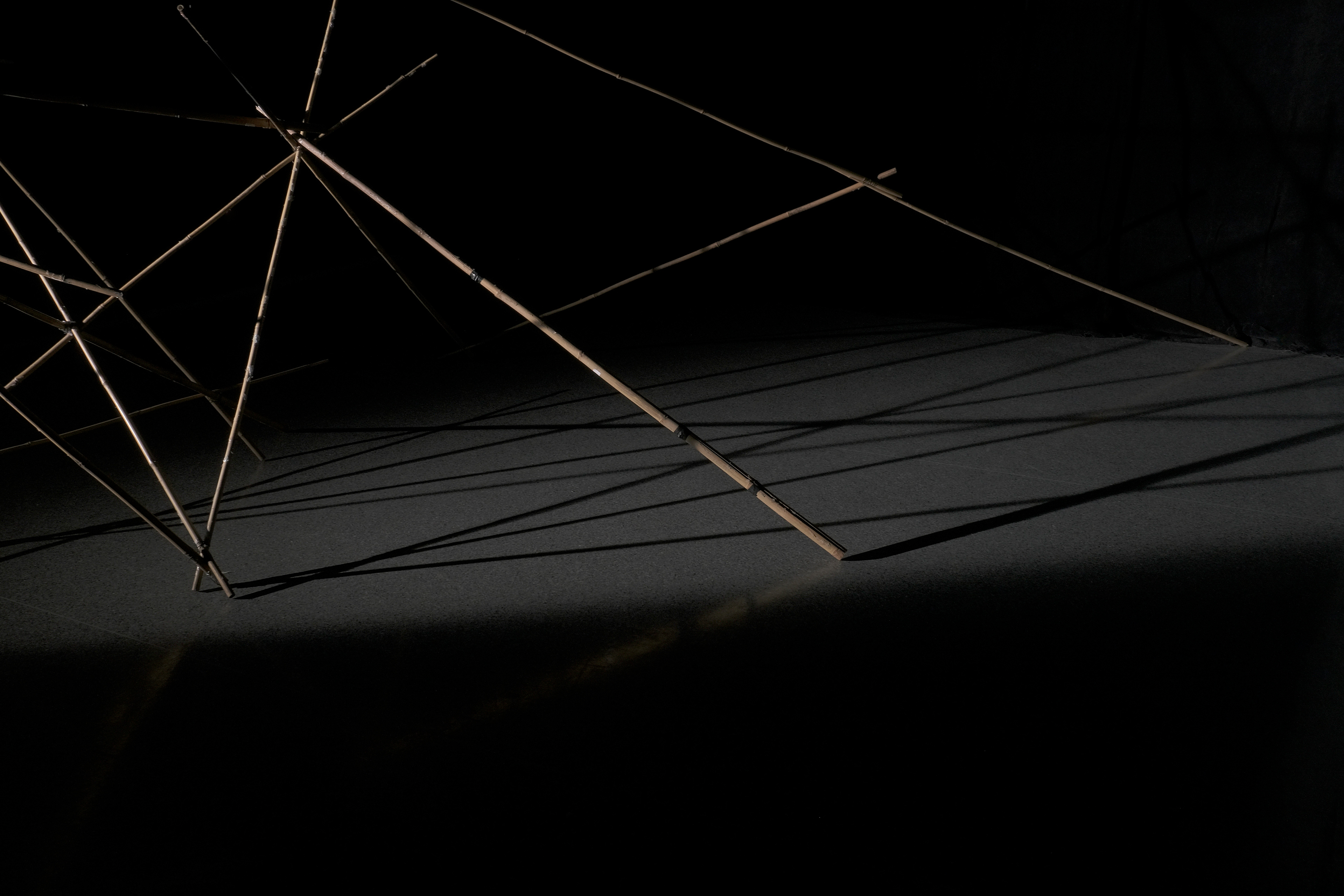 photo by Bartłomiej Puch
