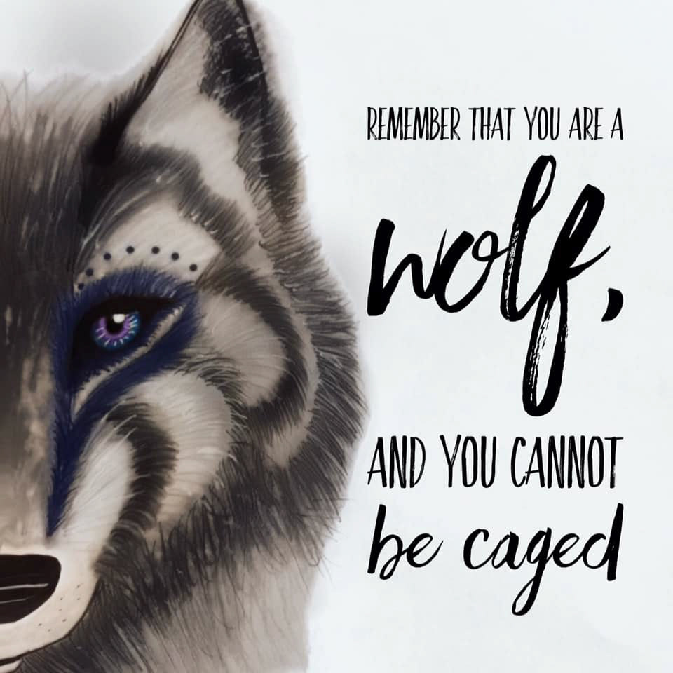 (2018) "Remember that you are a wolf, and you cannot be caged." - Rhys, A Court of Wings and Ruin (Sarah J. Maas)
