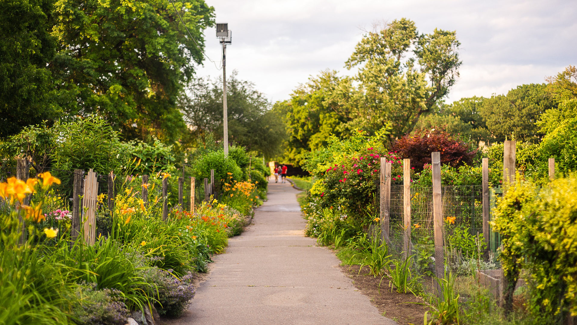 Victory Gardens