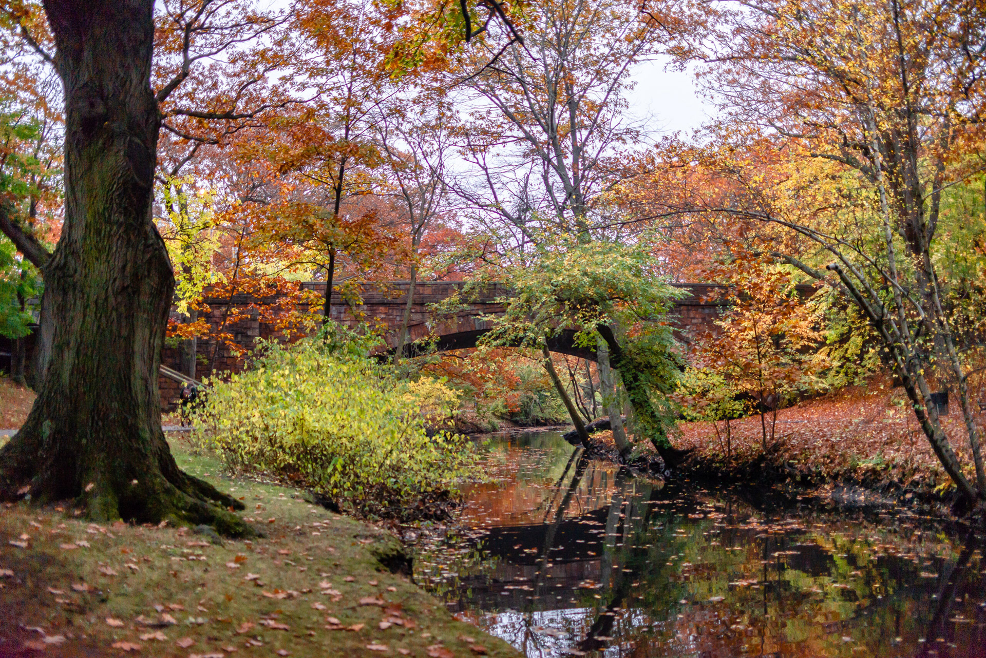 Emerald Necklace