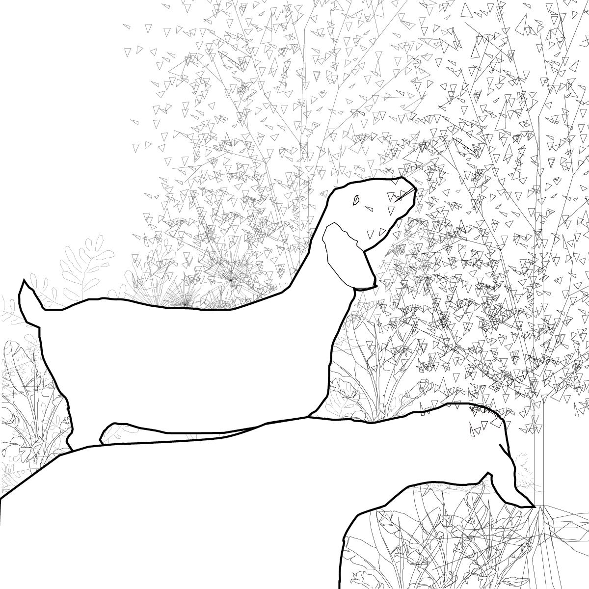 Sheep Scaping