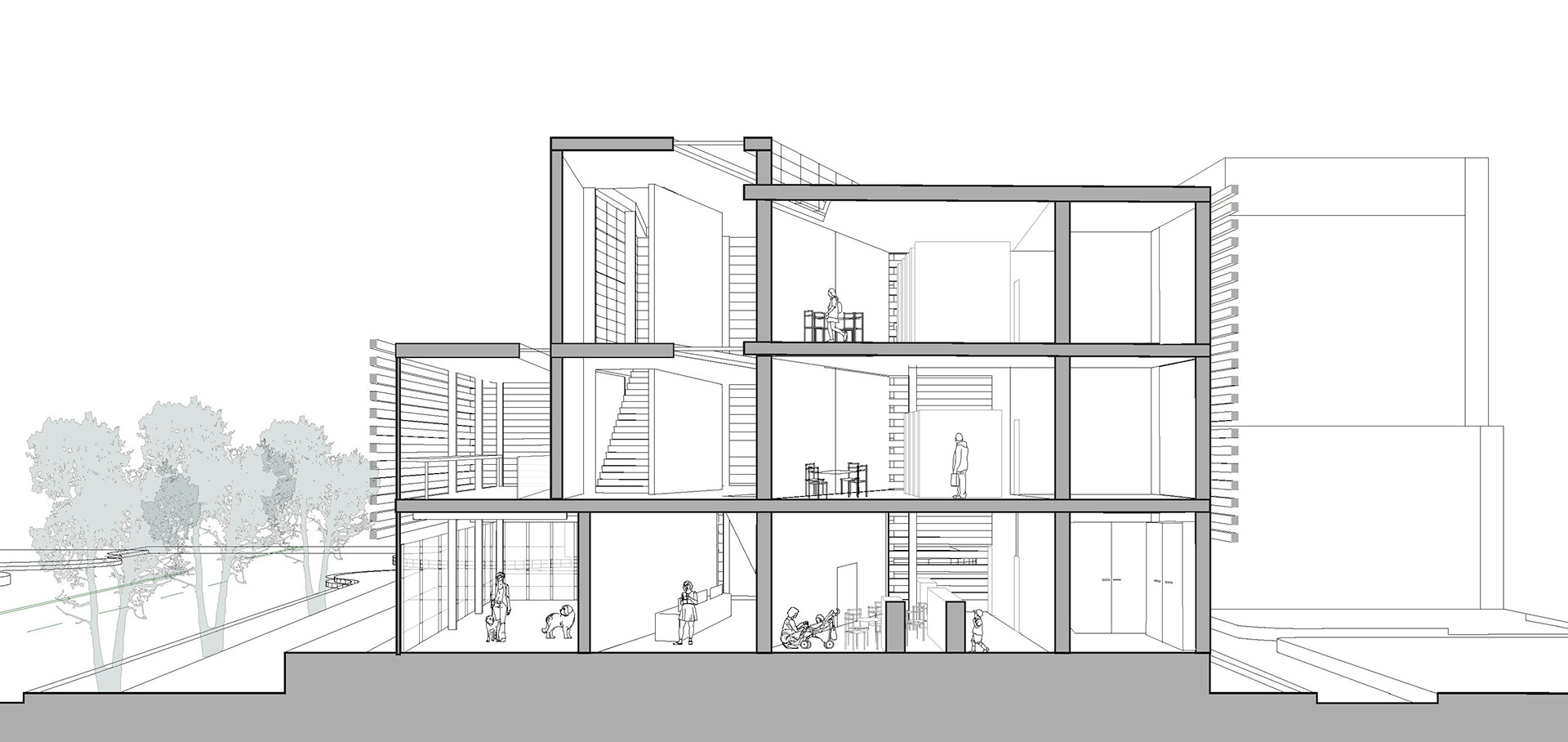 Section Perspective