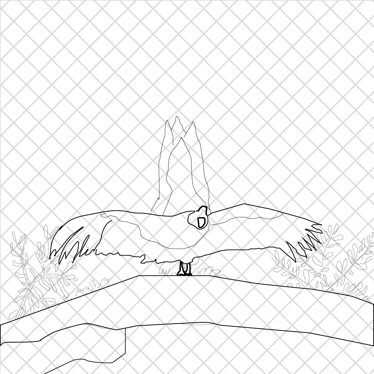 Zoo Conditions