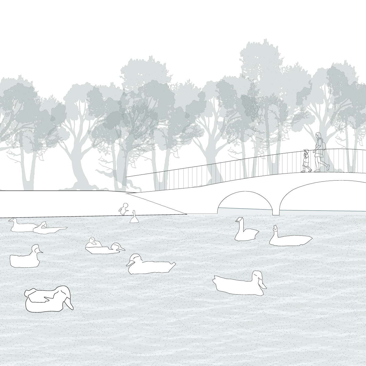 Ducks At the North Shore