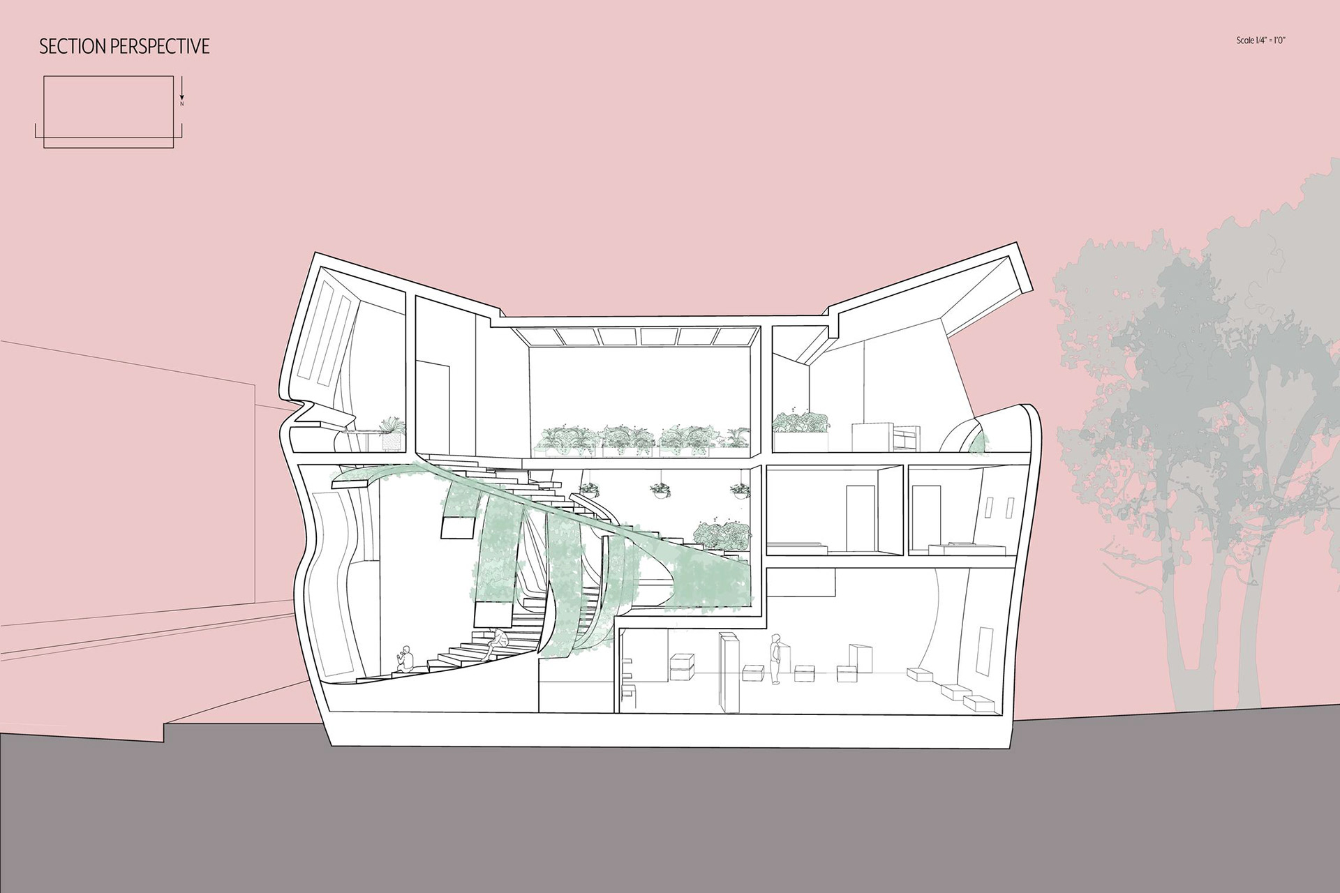 Section Perspective