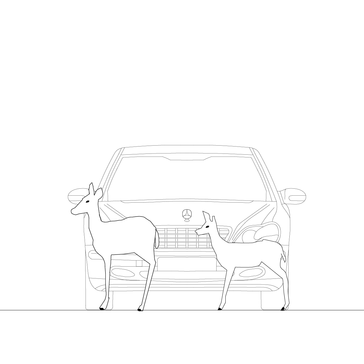 Deer in the Urban City