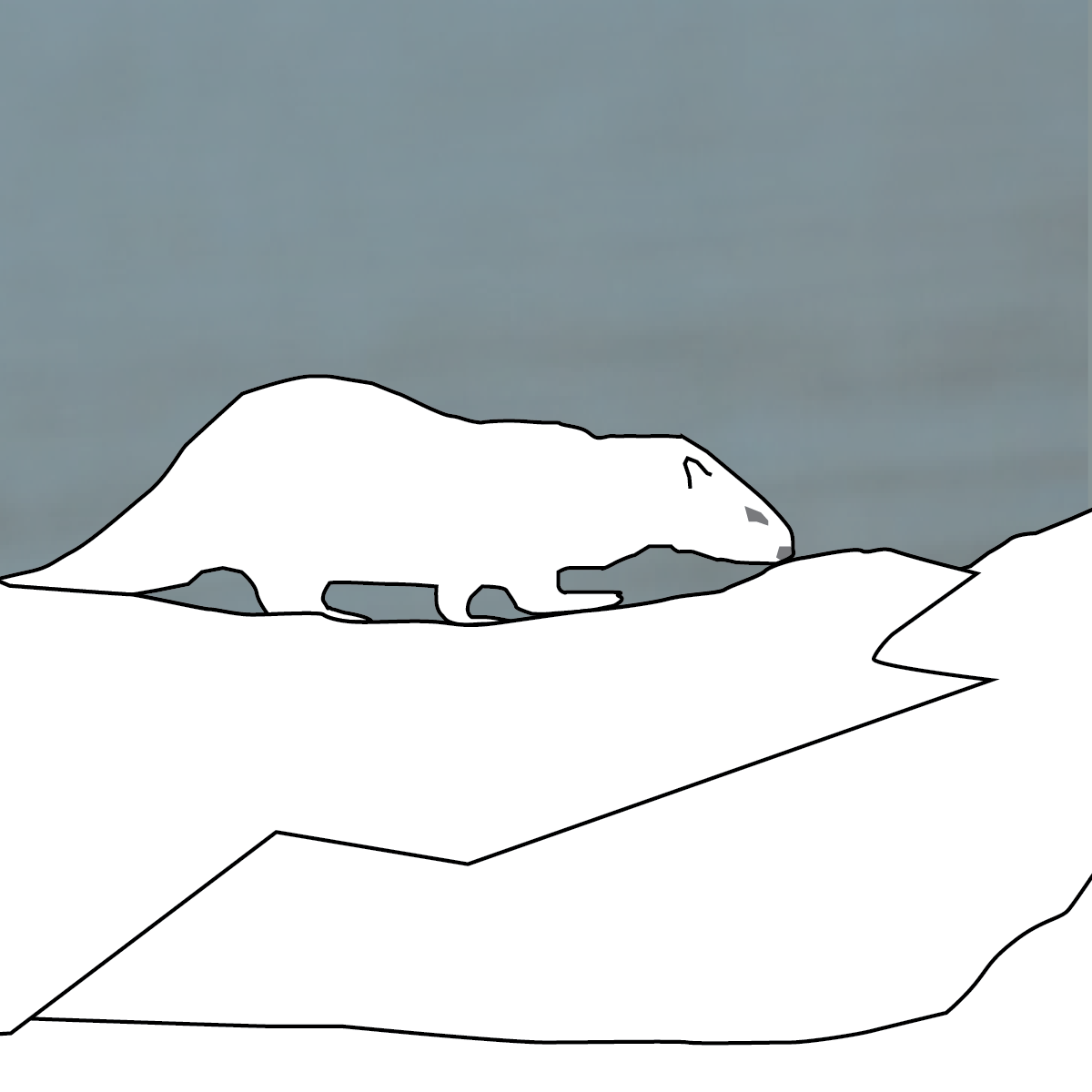 Otters Returning