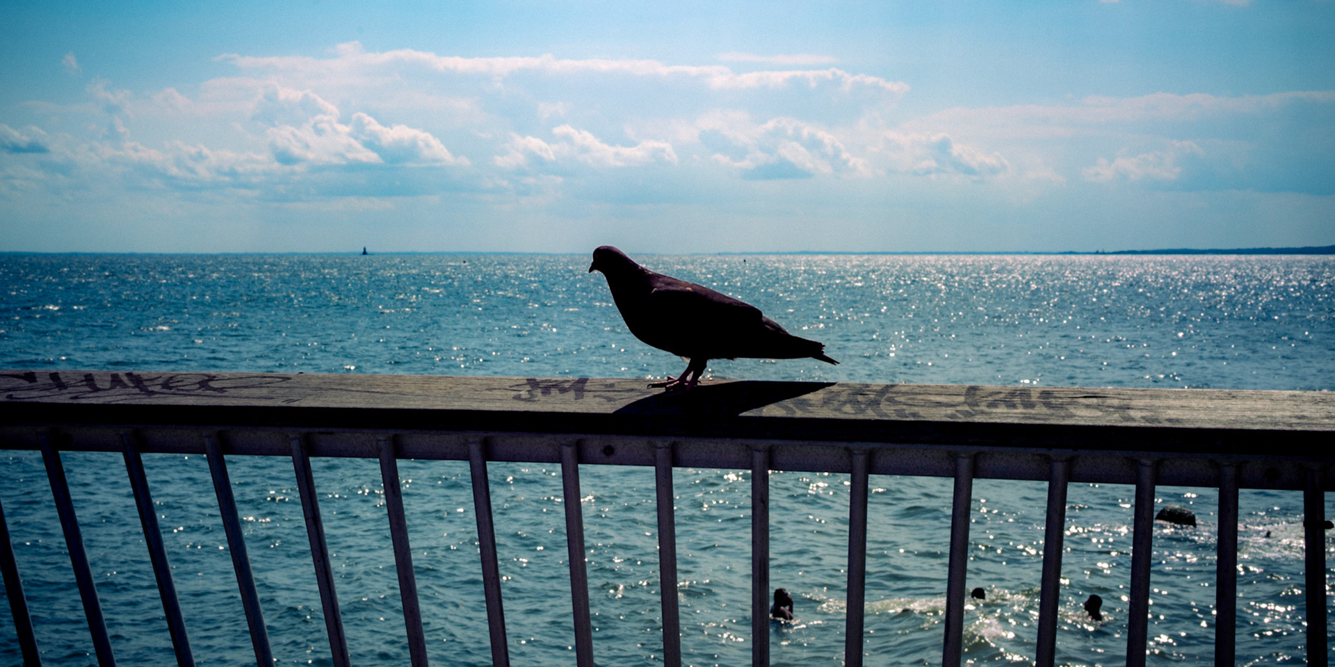 coney island '25