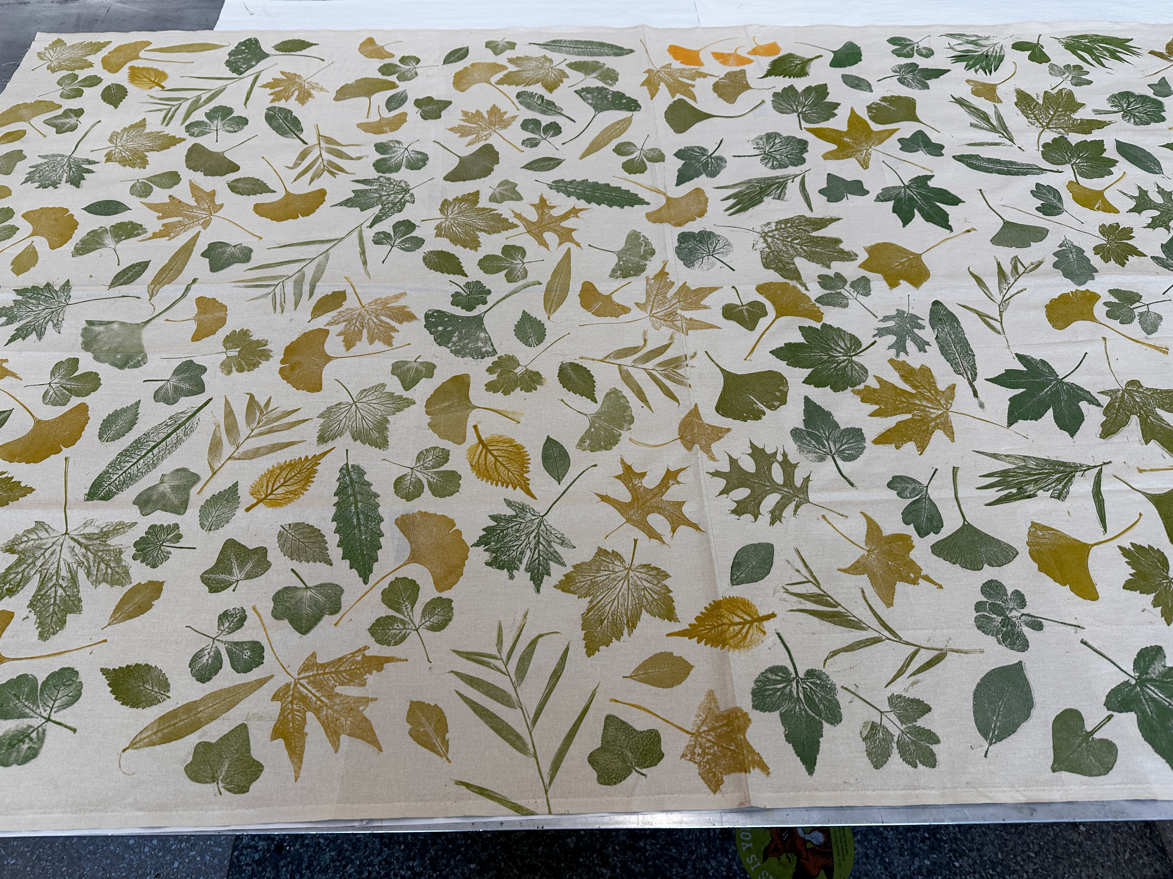 Final 2 yards of printed fabric