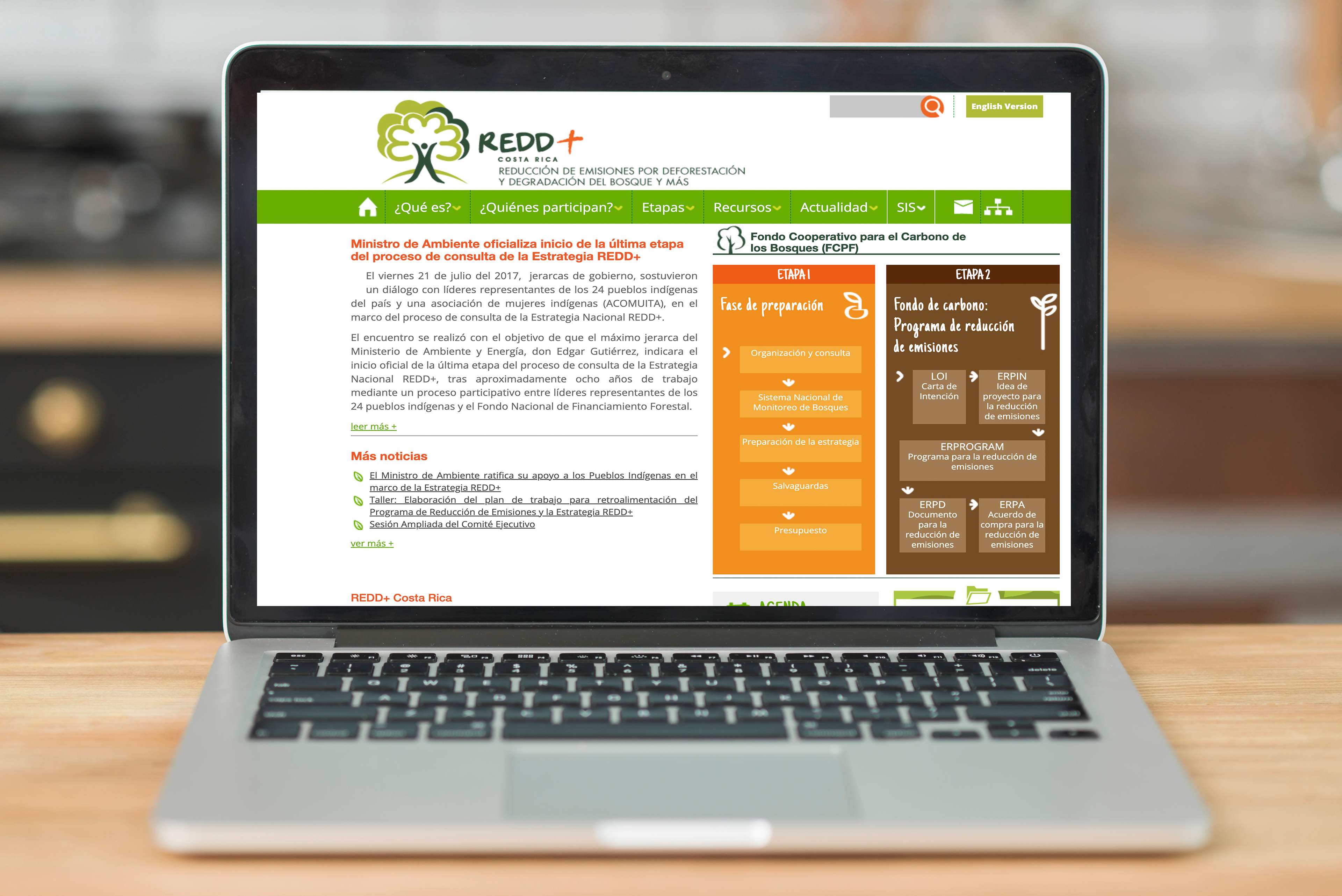 Sitio web anterior